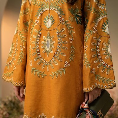 2 Piece Chikan Kari Mustard Suit – Article 4 Front View