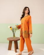 2 Piece Embroidered Orange Suit – Article Embroidery Detail