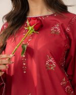 2 Piece Embroidered Red Suit – Article Fabric Detail