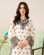 2 Piece Embroidered White Suit – Article Front View