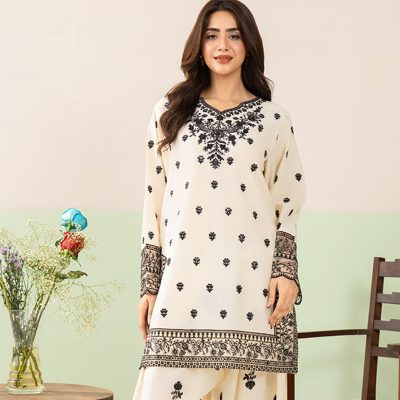 2 Piece Embroidered White Suit Article
