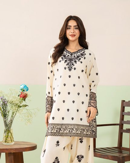 2 Piece Embroidered White Suit Article